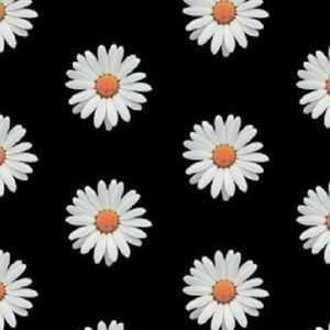 Meet your Posher, Germania